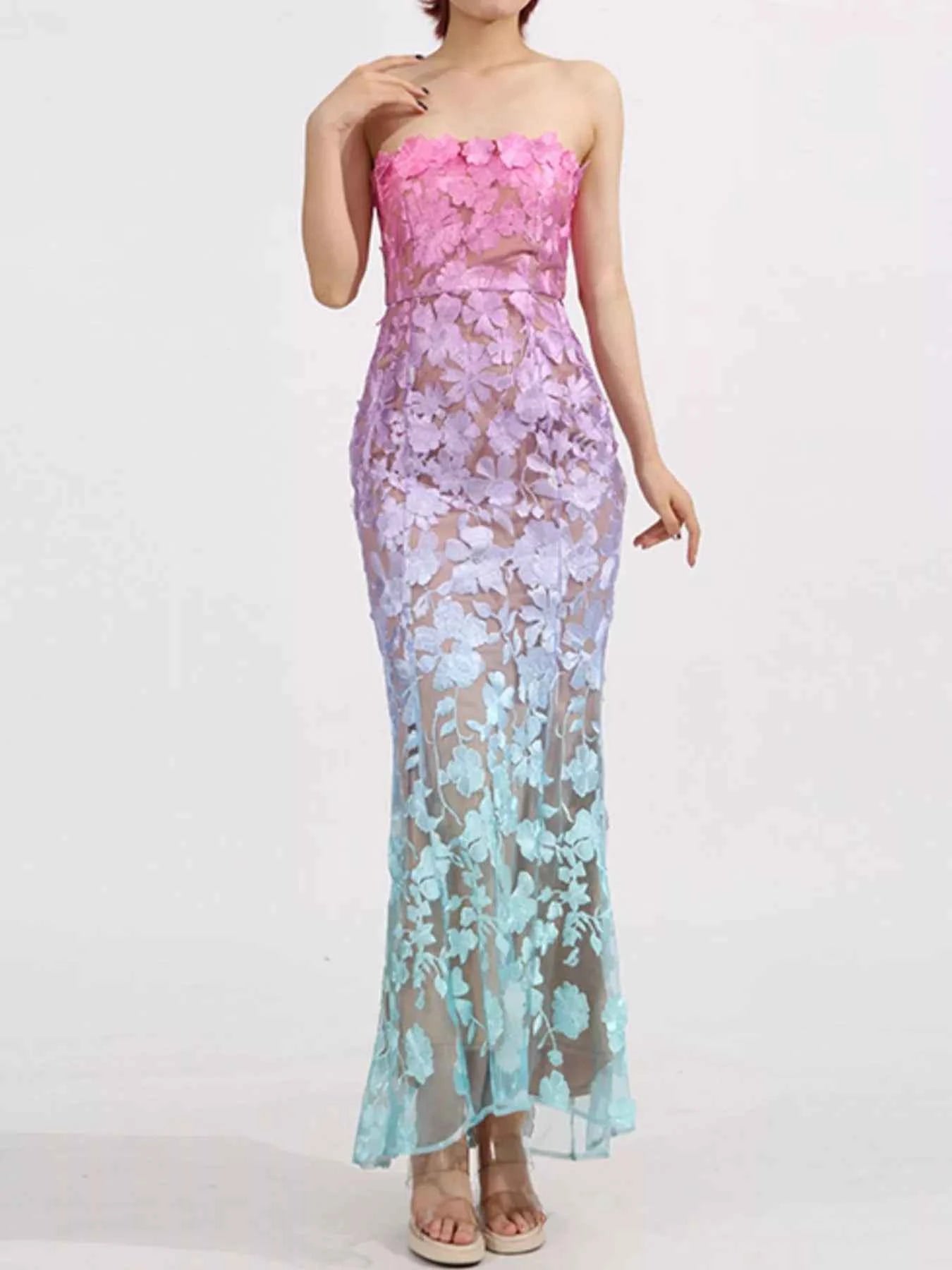 Floral Embroidered Tube Maxi Dress