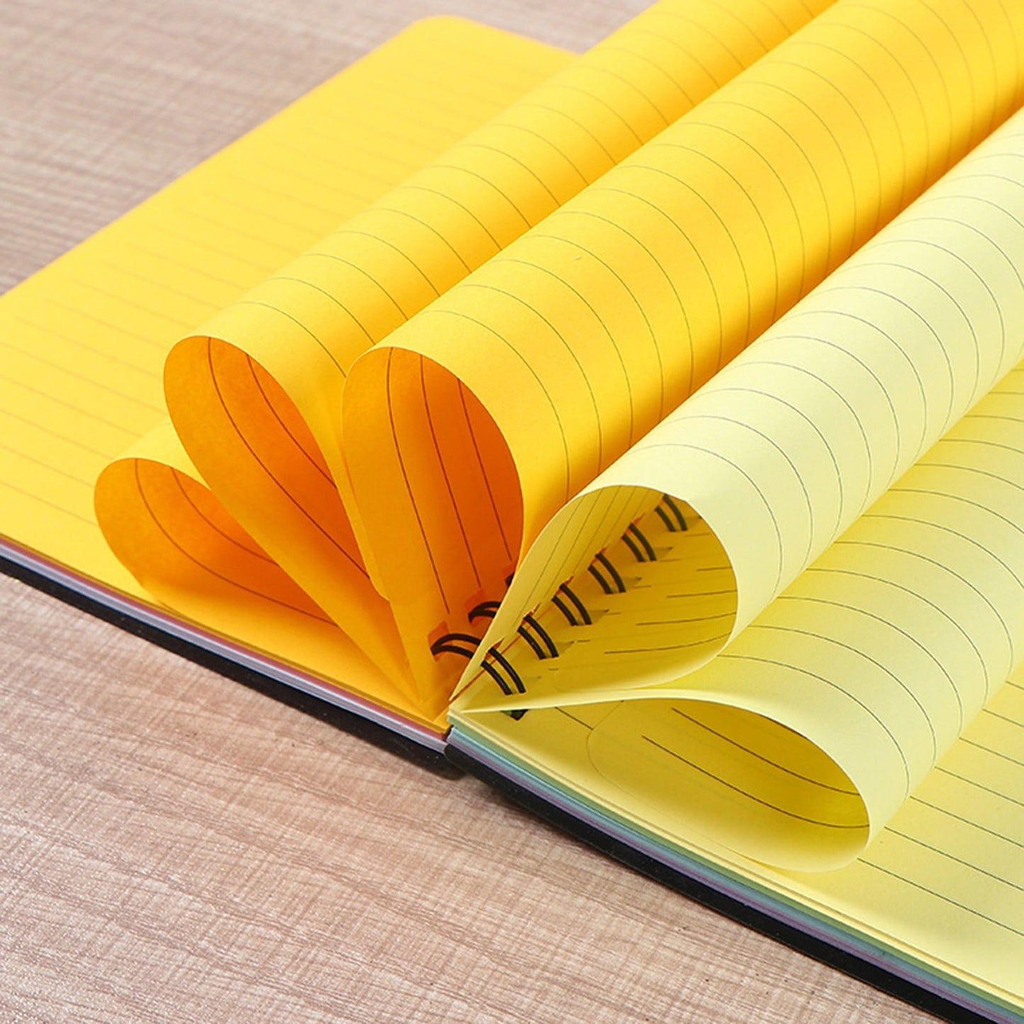 Wirebound College Ruled Notebook – 100 Sheets with Colour-Coded Pages