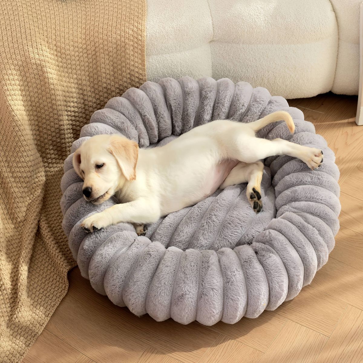 Plush Round Pet Bed – All-Season Dog & Cat Bed – Black, 50 x 20 x 20cm