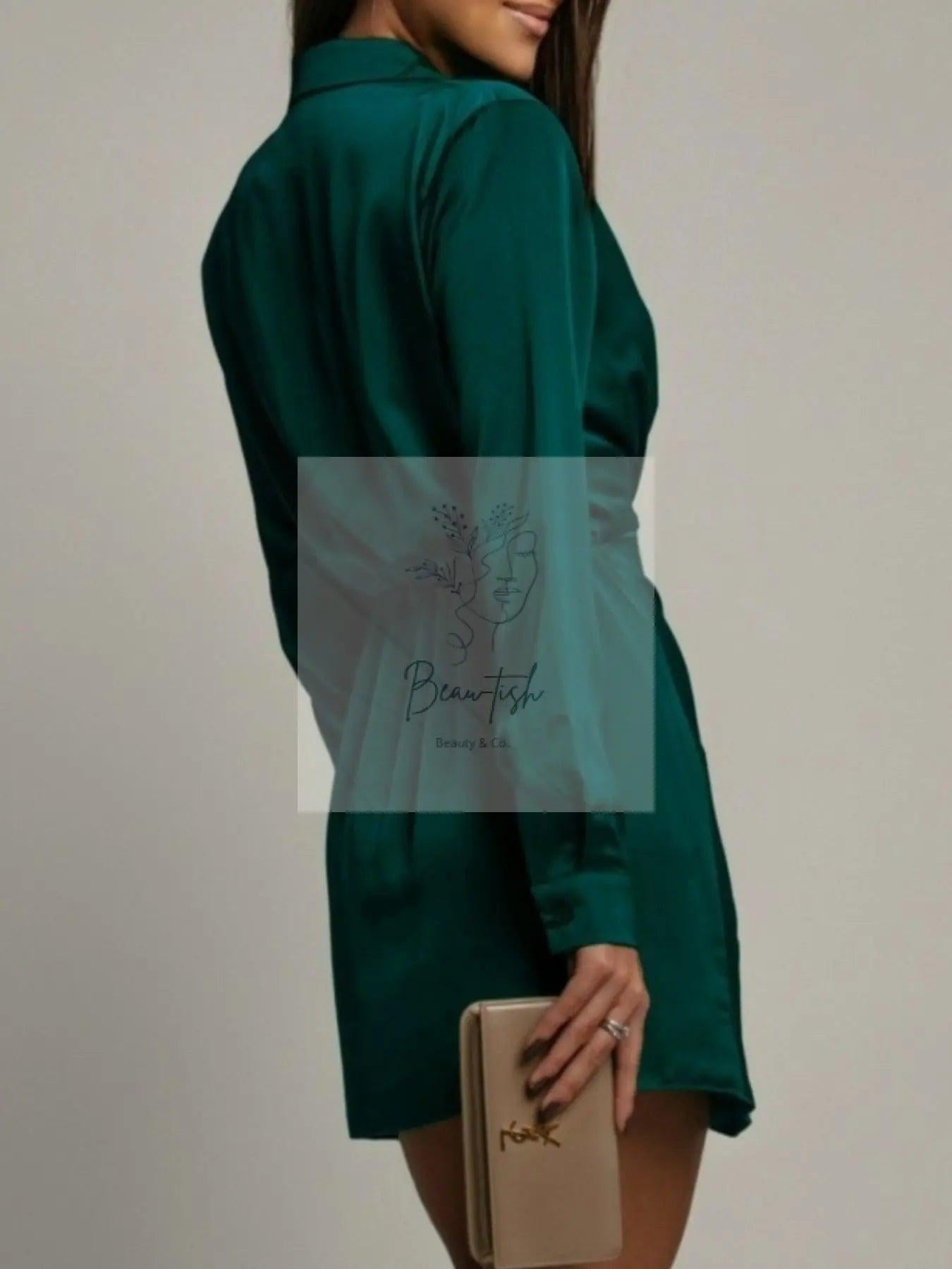 Collared Neck Long Sleeve Satin Dress