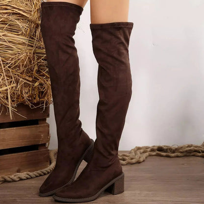 Point Toe Block Heels Boots