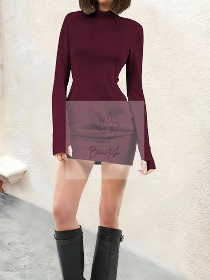 Turtleneck Long Sleeve Mini Dress with Pockets